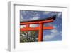 Asia, Japan, Kyoto. Torii Gate at Fushimi-Inari-Taisha Shinto Shrine.-Jaynes Gallery-Framed Photographic Print