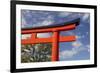 Asia, Japan, Kyoto. Torii Gate at Fushimi-Inari-Taisha Shinto Shrine.-Jaynes Gallery-Framed Photographic Print