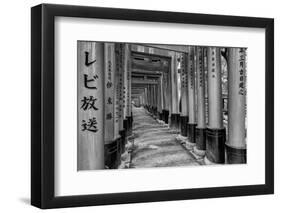 Asia, Japan, Kyoto. Torii Gates at Fushimi Inari-Taisha Shrine-Dennis Flaherty-Framed Photographic Print