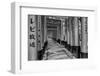 Asia, Japan, Kyoto. Torii Gates at Fushimi Inari-Taisha Shrine-Dennis Flaherty-Framed Photographic Print