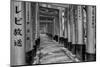 Asia, Japan, Kyoto. Torii Gates at Fushimi Inari-Taisha Shrine-Dennis Flaherty-Mounted Photographic Print