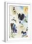 White Frame
