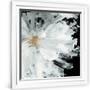 Gramercy White