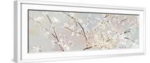 White Frame