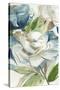 Stretched Canvas
