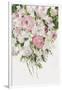 Gramercy White