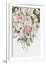 Gramercy White