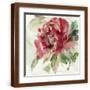 Brown Frame