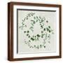 Brown Frame