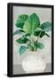 Essential Black