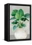 Canvas Black