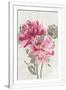 Gramercy White