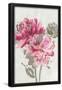 Essential Black
