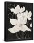 Essential Black