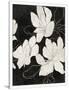 Gramercy White