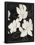 Essential Black