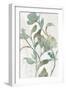 White Frame
