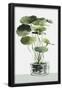 Essential Black