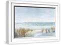 White Frame