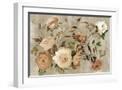 White Frame