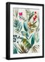 Black Frame