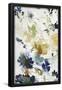 Essential Black