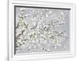 Gramercy White