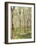 Asia, Malaysia, Gumtree Plantation, Rubber Extraction-Thonig-Framed Photographic Print