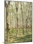 Asia, Malaysia, Gumtree Plantation, Rubber Extraction-Thonig-Mounted Photographic Print