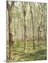 Asia, Malaysia, Gumtree Plantation, Rubber Extraction-Thonig-Mounted Photographic Print