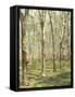 Asia, Malaysia, Gumtree Plantation, Rubber Extraction-Thonig-Framed Stretched Canvas