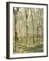 Asia, Malaysia, Gumtree Plantation, Rubber Extraction-Thonig-Framed Photographic Print