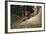 Asia, Malaysia, Sandakan, Monkey Sitting under Tree-Tony Berg-Framed Photographic Print