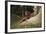 Asia, Malaysia, Sandakan, Monkey Sitting under Tree-Tony Berg-Framed Photographic Print