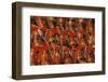 Asia, Middle East, Turkey, Istanbul. Bazaar-Connie Bransilver-Framed Photographic Print