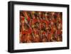 Asia, Middle East, Turkey, Istanbul. Bazaar-Connie Bransilver-Framed Photographic Print