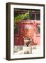 Asia, Mongolia, Ulaanbaatar, Gandantegchinlen Monastery. Urn in Front of Datsun Door-Emily Wilson-Framed Photographic Print