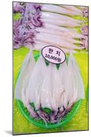 Asia, Republic of Korea, South Korea, Jeju Island, Dongmun Traditional Market, Squid-Christian Kober-Mounted Photographic Print