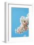 Asia, Republic of Korea, South Korea, Jeju Island, Jeju City, Spring Cherry Blossom-Christian Kober-Framed Photographic Print