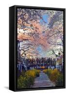 Asia, Republic of Korea, South Korea, Jinhei, Spring Cherry Blossom Festival-Christian Kober-Framed Stretched Canvas