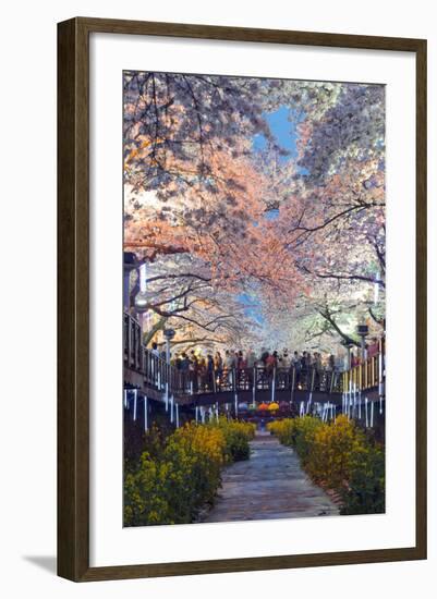 Asia, Republic of Korea, South Korea, Jinhei, Spring Cherry Blossom Festival-Christian Kober-Framed Photographic Print