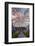 Asia, Republic of Korea, South Korea, Jinhei, Spring Cherry Blossom Festival-Christian Kober-Framed Photographic Print