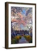 Asia, Republic of Korea, South Korea, Jinhei, Spring Cherry Blossom Festival-Christian Kober-Framed Premium Photographic Print