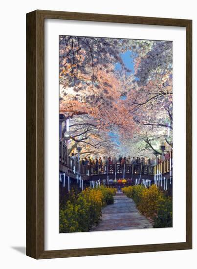 Asia, Republic of Korea, South Korea, Jinhei, Spring Cherry Blossom Festival-Christian Kober-Framed Premium Photographic Print