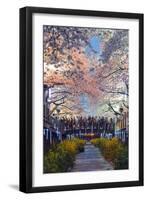 Asia, Republic of Korea, South Korea, Jinhei, Spring Cherry Blossom Festival-Christian Kober-Framed Premium Photographic Print