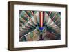 Asia, Republic of Korea, South Korea, Seoul, Deoksugung Palace-Christian Kober-Framed Photographic Print