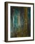 Asia Teal-Liz Jardine-Framed Art Print