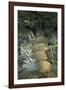 Asia, Vietnam. Pineapples in the Hold of a Mekong River Boat, Can Tho-Kevin Oke-Framed Photographic Print