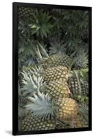 Asia, Vietnam. Pineapples in the Hold of a Mekong River Boat, Can Tho-Kevin Oke-Framed Photographic Print