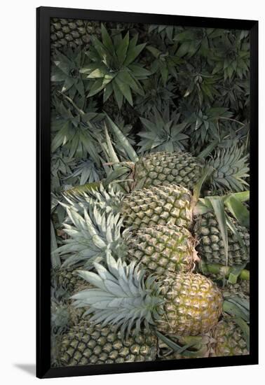 Asia, Vietnam. Pineapples in the Hold of a Mekong River Boat, Can Tho-Kevin Oke-Framed Photographic Print